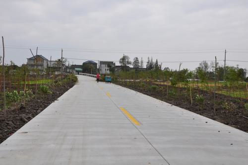 武穴市余川镇太平桥农村公路提档升级工程.png